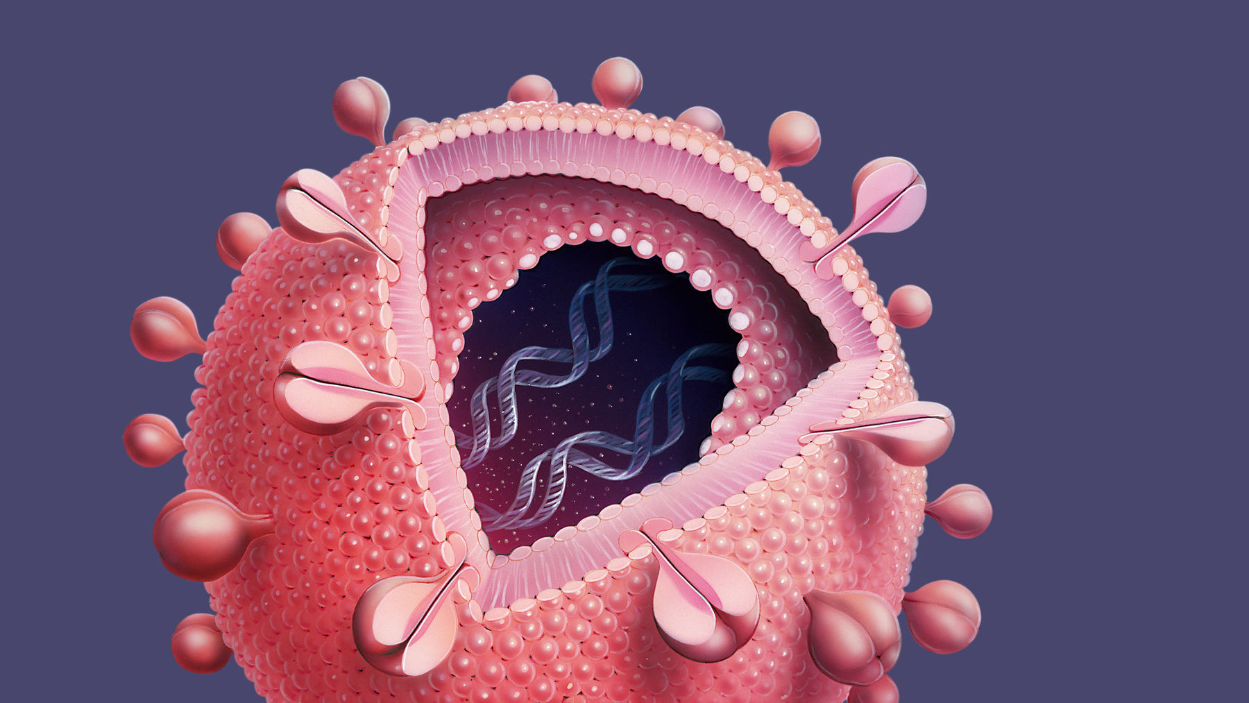 HI-Virus, © Heusser Communicates AG