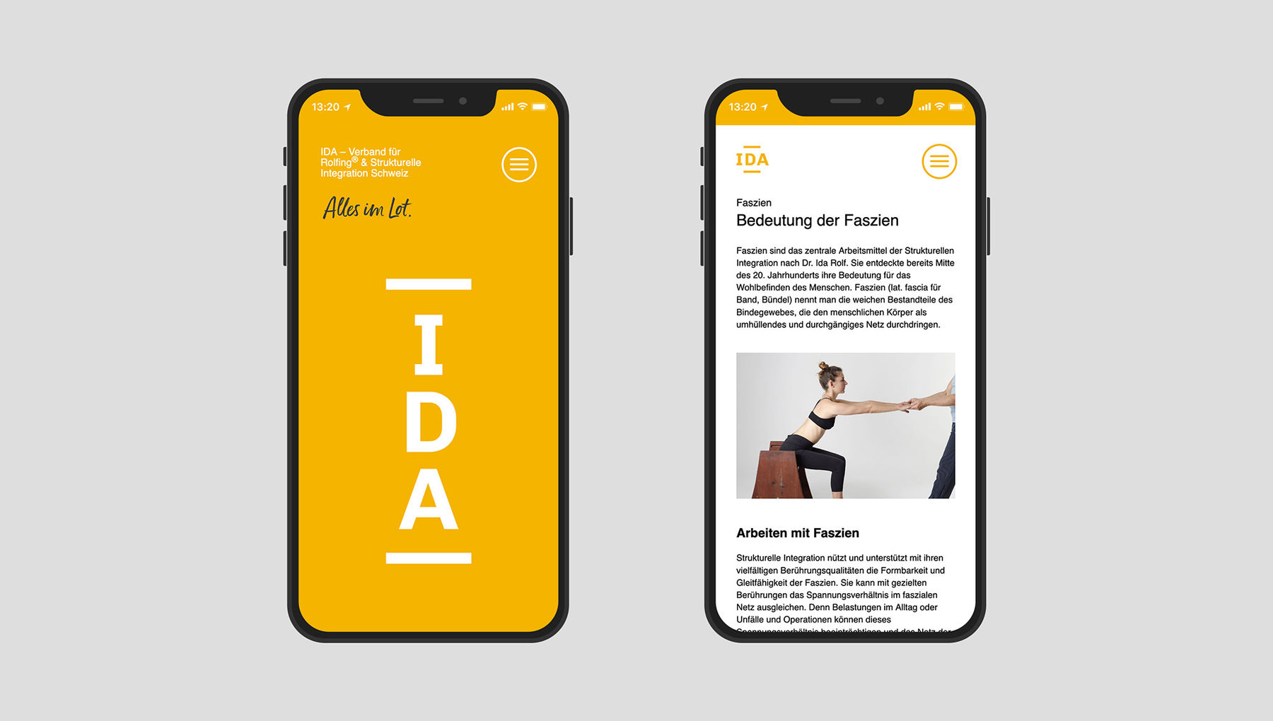 IDA Website Responsive Design